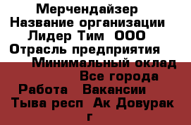 Мерчендайзер › Название организации ­ Лидер Тим, ООО › Отрасль предприятия ­ BTL › Минимальный оклад ­ 17 000 - Все города Работа » Вакансии   . Тыва респ.,Ак-Довурак г.